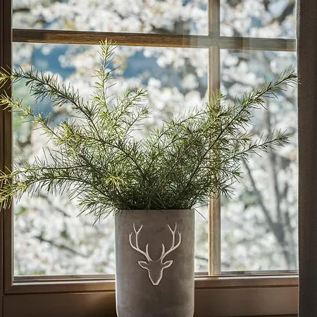 Appart hôtel Stacherhof 4*