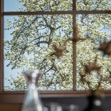 Aparthotel Stacherhof Fuegen