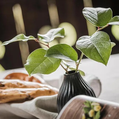 Stacherhof Aparthotel 4*