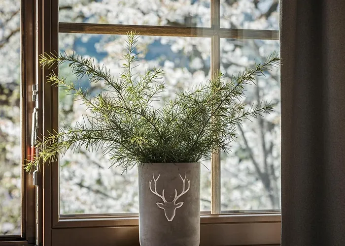 Aparthotel Stacherhof 4*