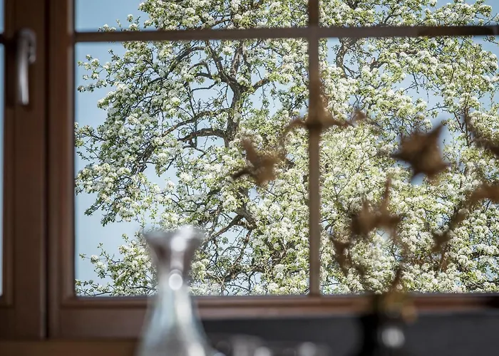 Lägenhetshotell Stacherhof Fügen