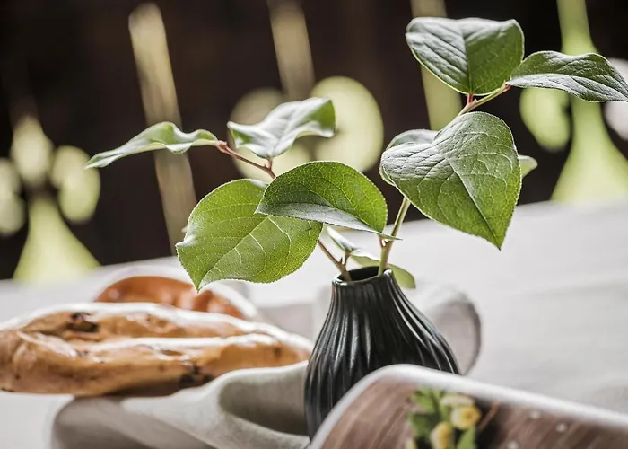 Stacherhof מלון דירות 4*