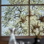 Aparthotel Stacherhof Fuegen